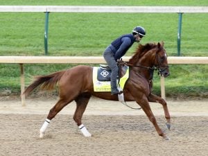 Attachment Rate Horse