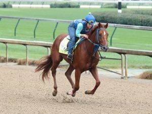 Necker Island - Coady