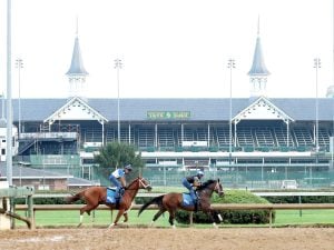 Shedaresthedevil Horse