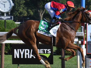 Swiss Skydiver at Alabama Stakes