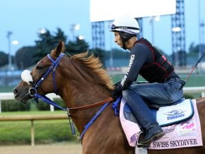 Swiss Skydiver Horse