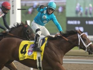 Jockey Justin Stein celebrates aboard Ricoh Woodbine Mile champion Starship Jubilee. (Michael Burns Photo)