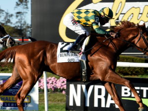 Gufo. Photo by Adam Coglianese. Courtesy of NYRA Photo