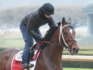 Keepmeinmind Rebel Stakes