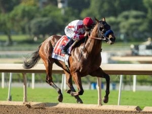 Corniche - usracing.com