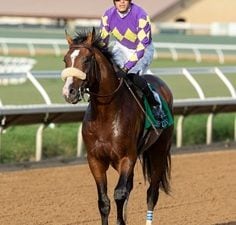 Express Train - usracing.com