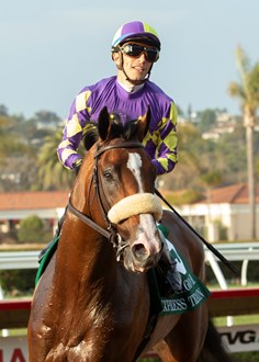 2021 Breeders’ Cup Classic Contenders, Odds And Post Position: Express ...