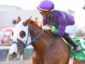 Stilleto Boy - usracing.com