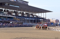 Competitive Field For “Win And You’re In’’ Frizette At Big A | Horse ...