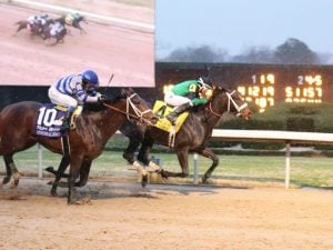 Un Ojo - usracing.com