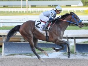 Simplification - usracing.com