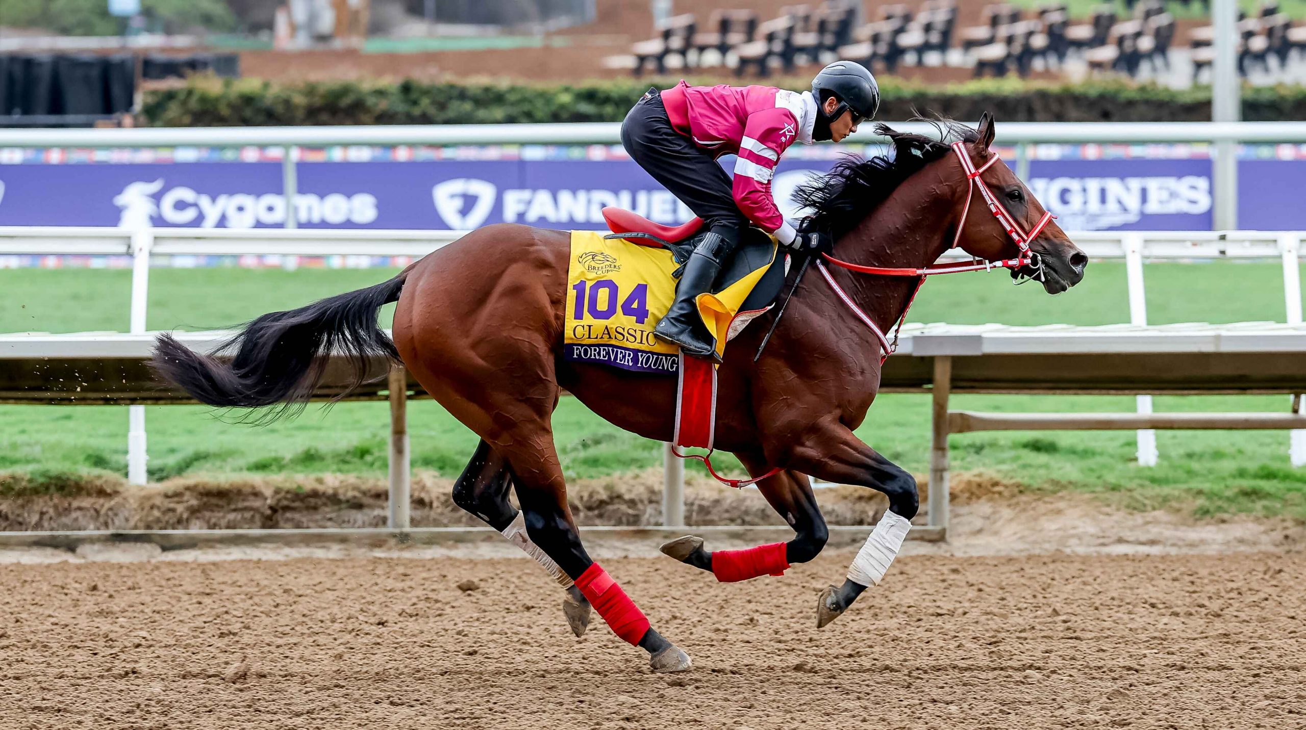 Handicapping The 2024 Breeders’ Cup Classic: Picks And Predictions ...