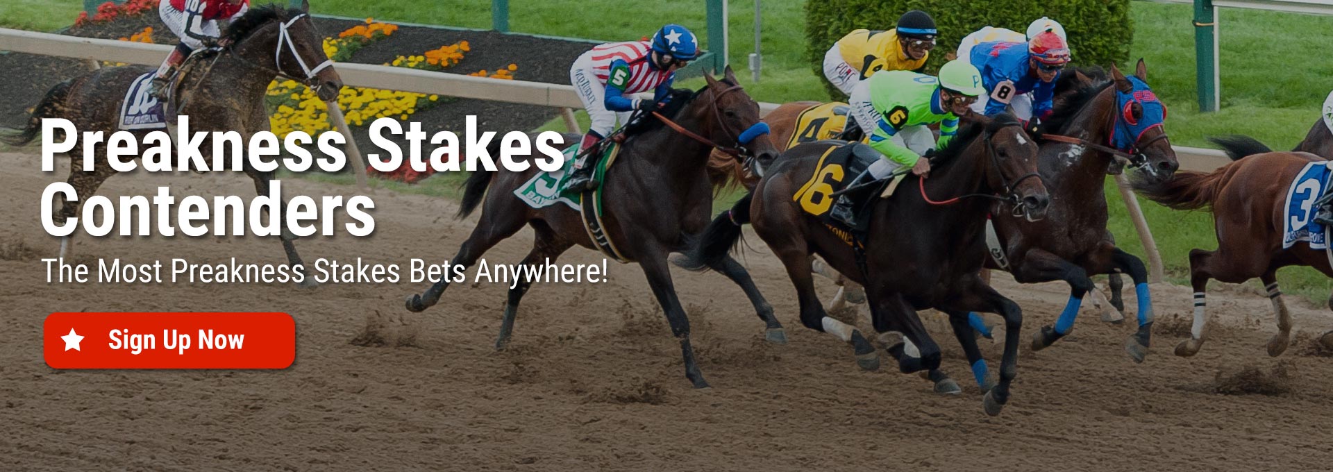 Preakness Stakes Contenders Online Horse Betting
