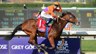 beholder breeders cup