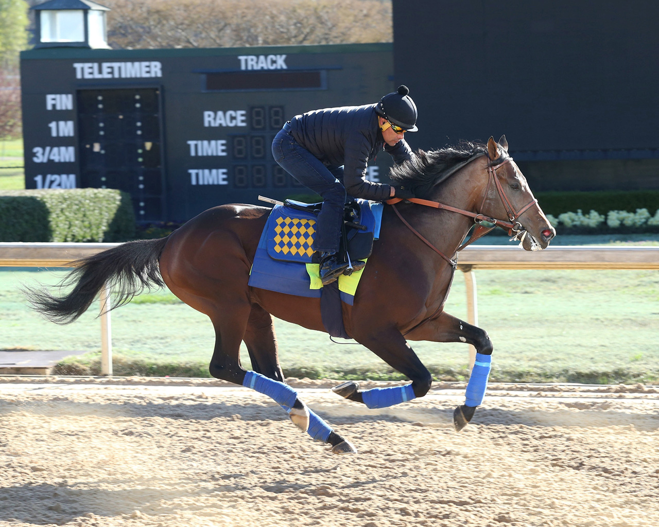 Kentucky Derby Workout Report April 29, 2019 Horse Racing News