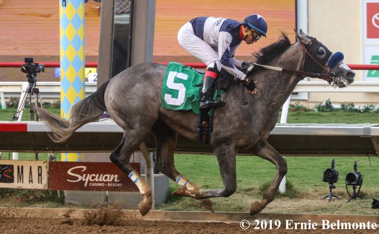 American Pharoah (GI), Races