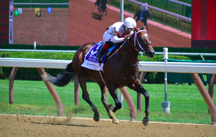 Breeders Cup Sprint 2024 Golda Kandace