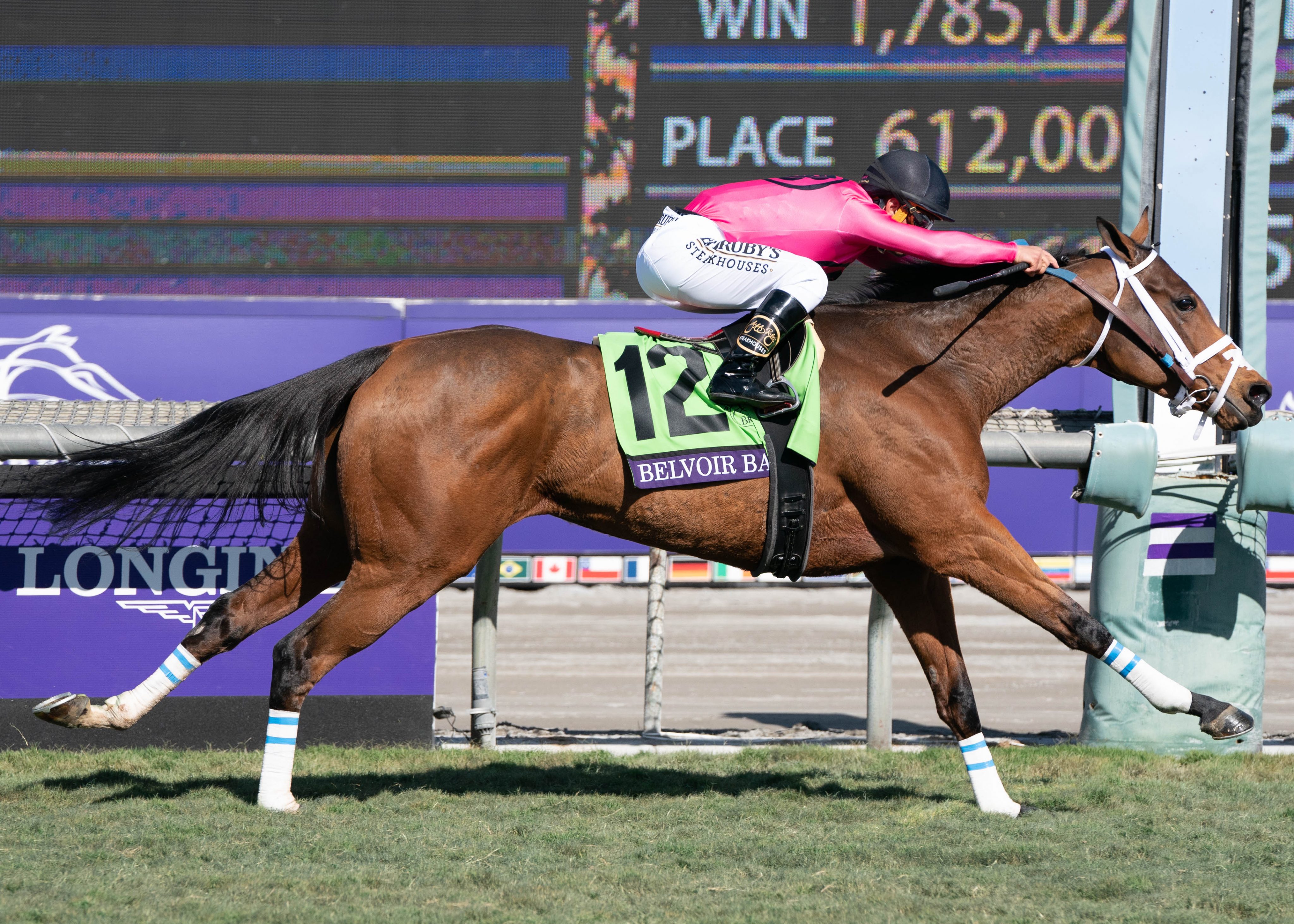 Breeders’ Cup Saturday Belvoir Bay, Results, Odds, Top Contenders