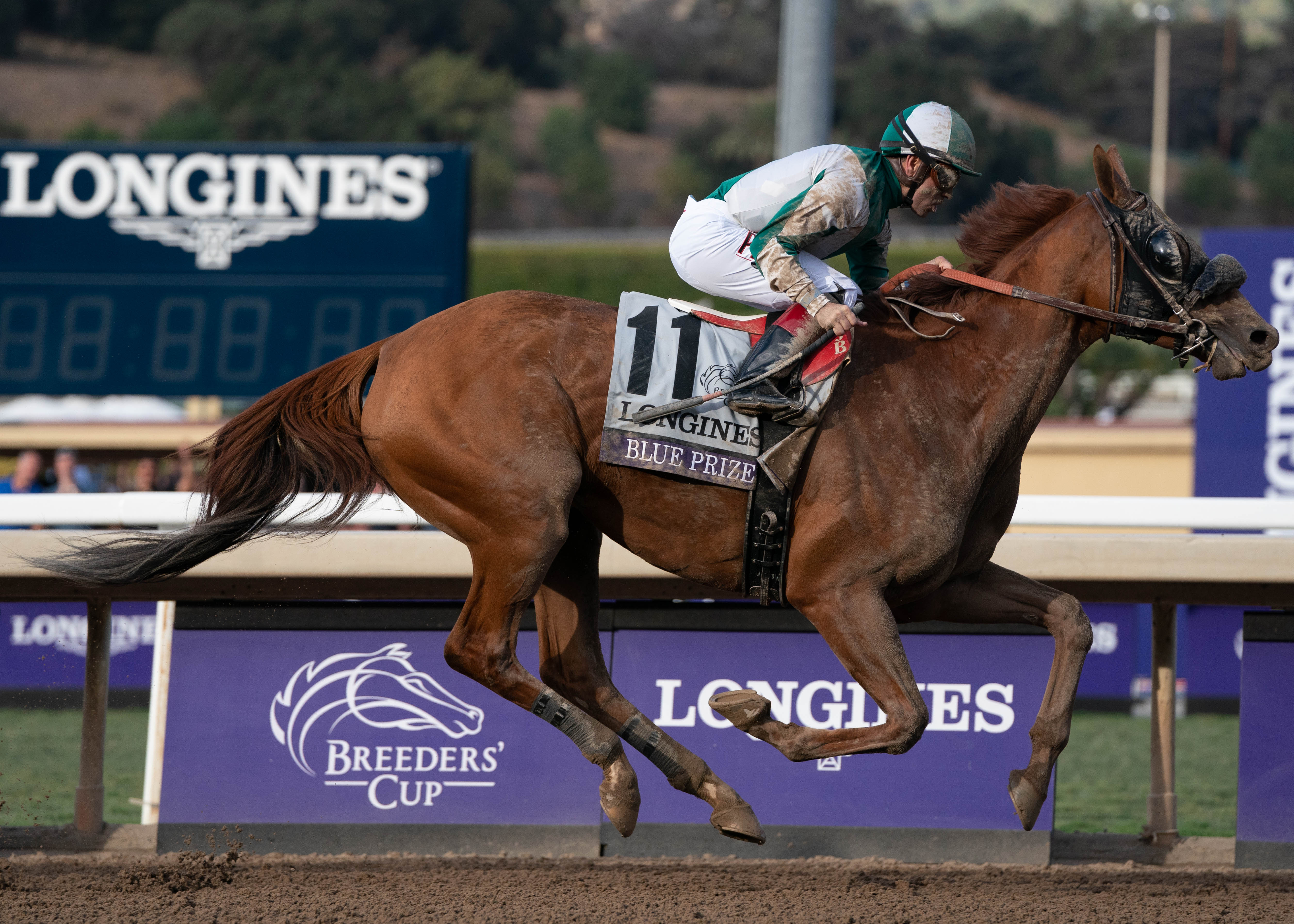 Breeders Cup Saturday Distaff Blue Prize Results Odds Best