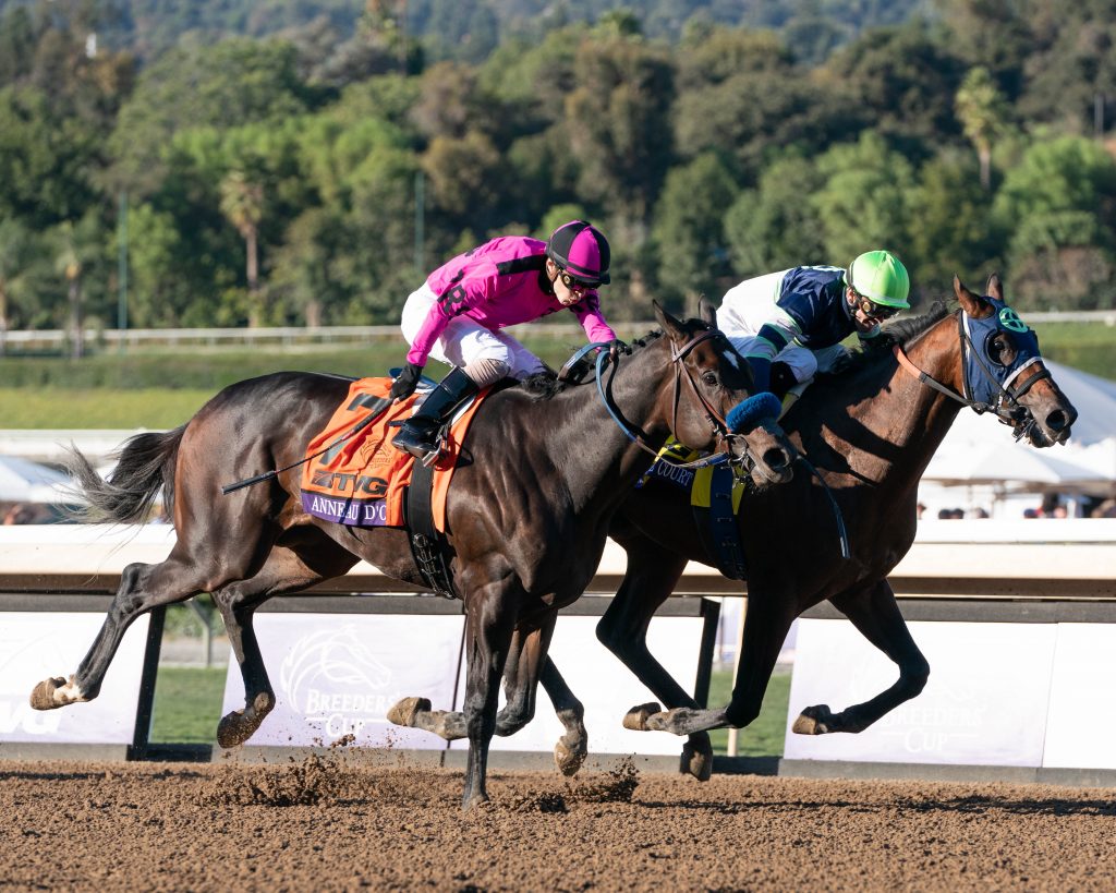 Kentucky Derby Horses 347 Nominated to Triple Crown Races Horse