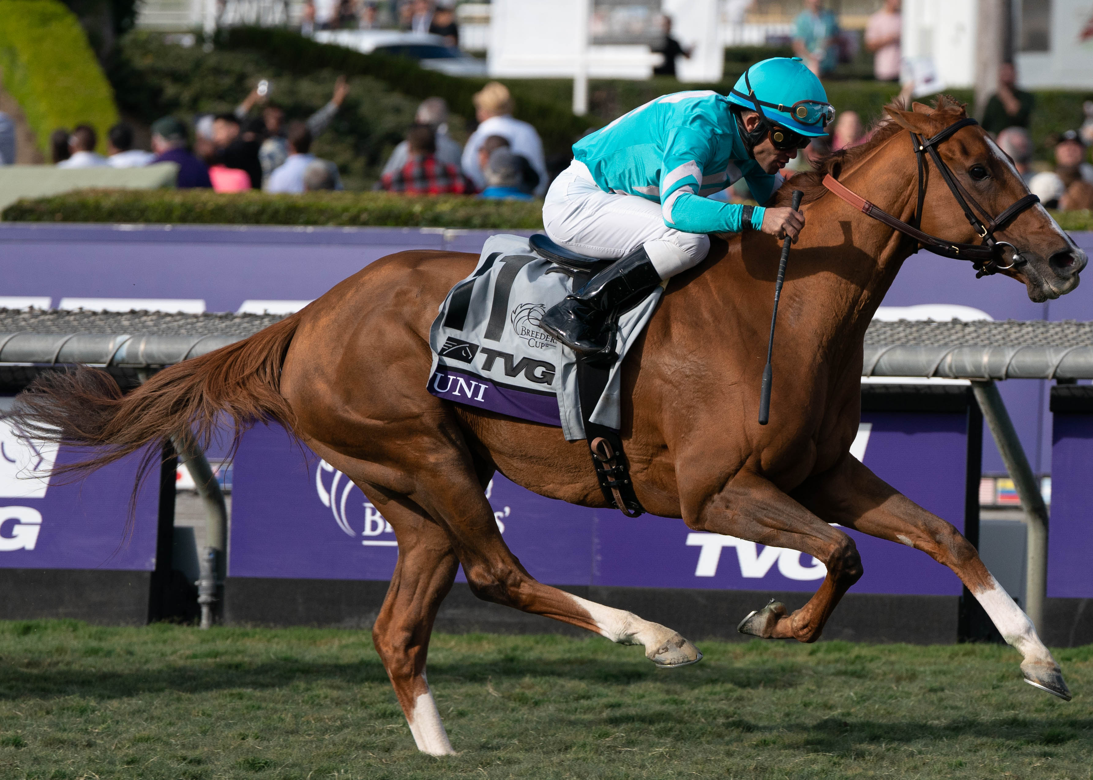 Breeders’ Cup Saturday Mile, Uni, Results, Odds, Best Bets Horse