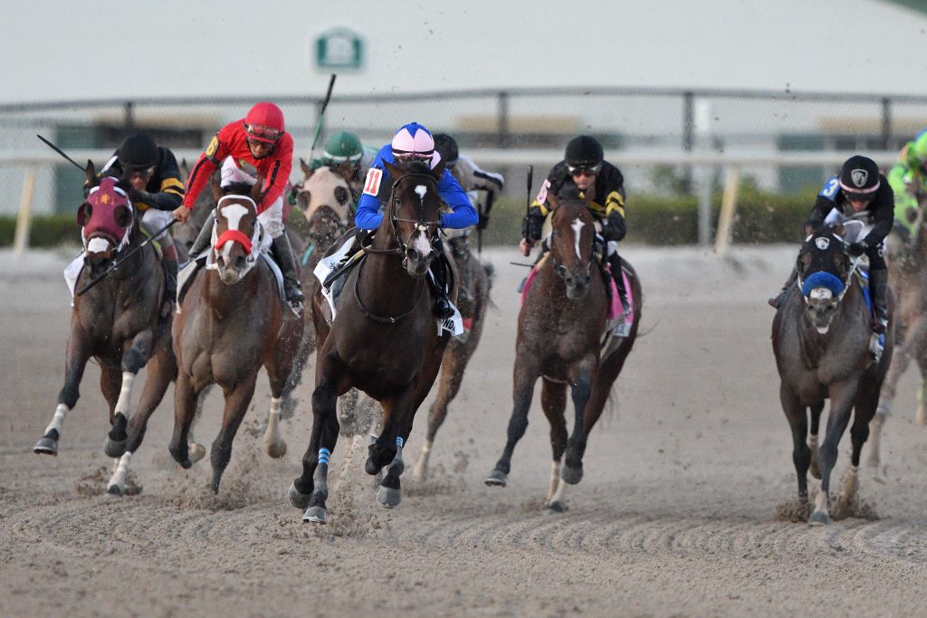 Kentucky Derby Preps Rebel Stakes Preview Horse Racing News