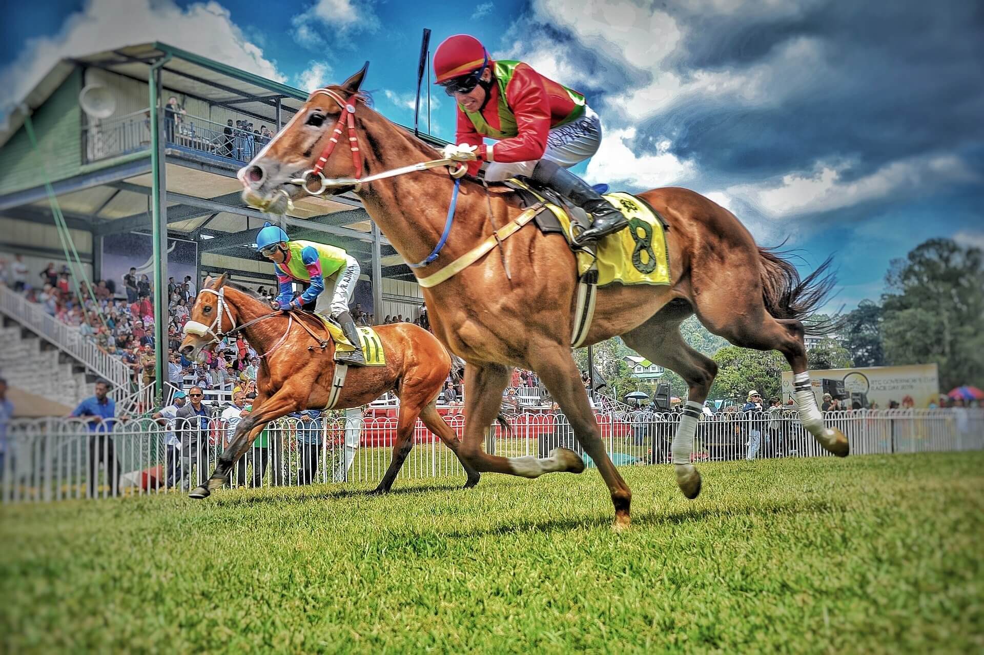 Horse racing. Скачки на ипподроме. Лошади на ипподроме. Конный спорт скачки. Соревнования по скачкам на лошадях.