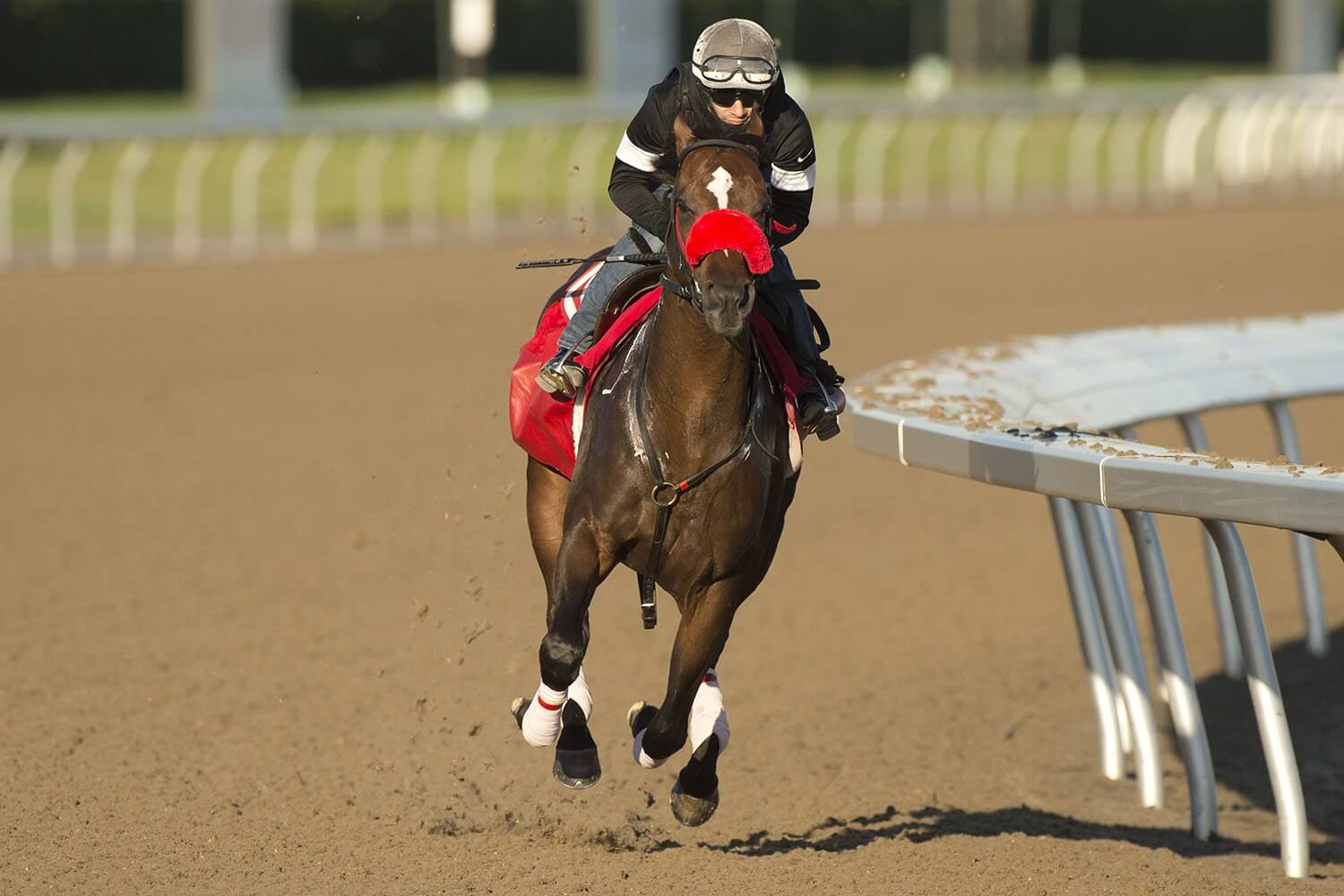 Queen’s Plate Kicks Off Canada’s Triple Crown Horse Racing News