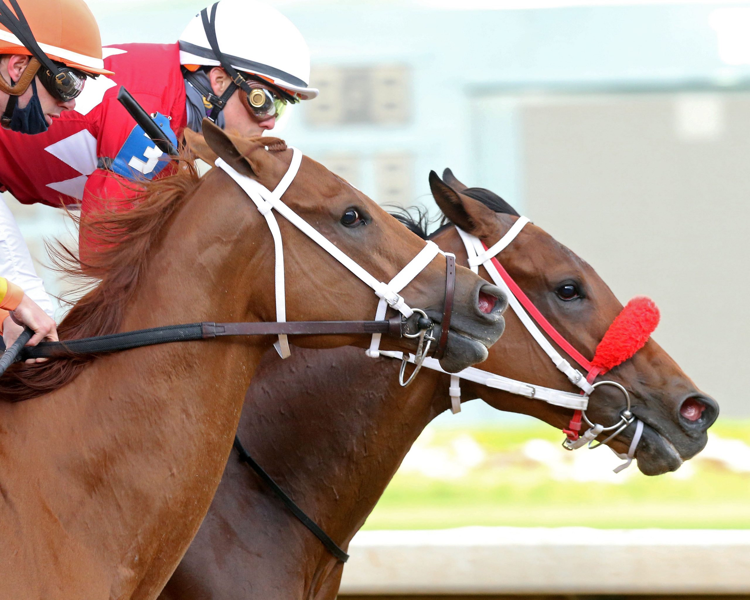 Letruska Upsets Champions Monomoy Girl, Swiss Skydiver In Apple Blossom