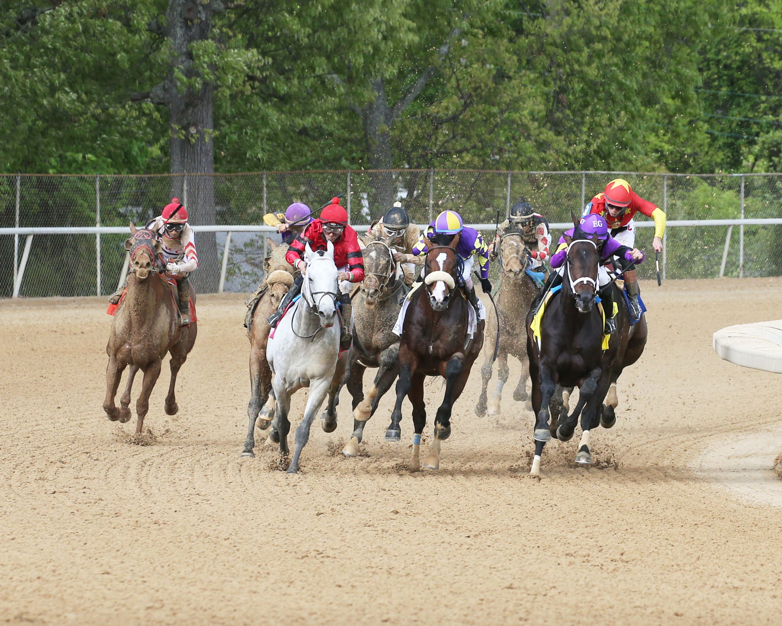 Top 5 Breeders’ Cup Turf Sprint Finishes Horse Racing News