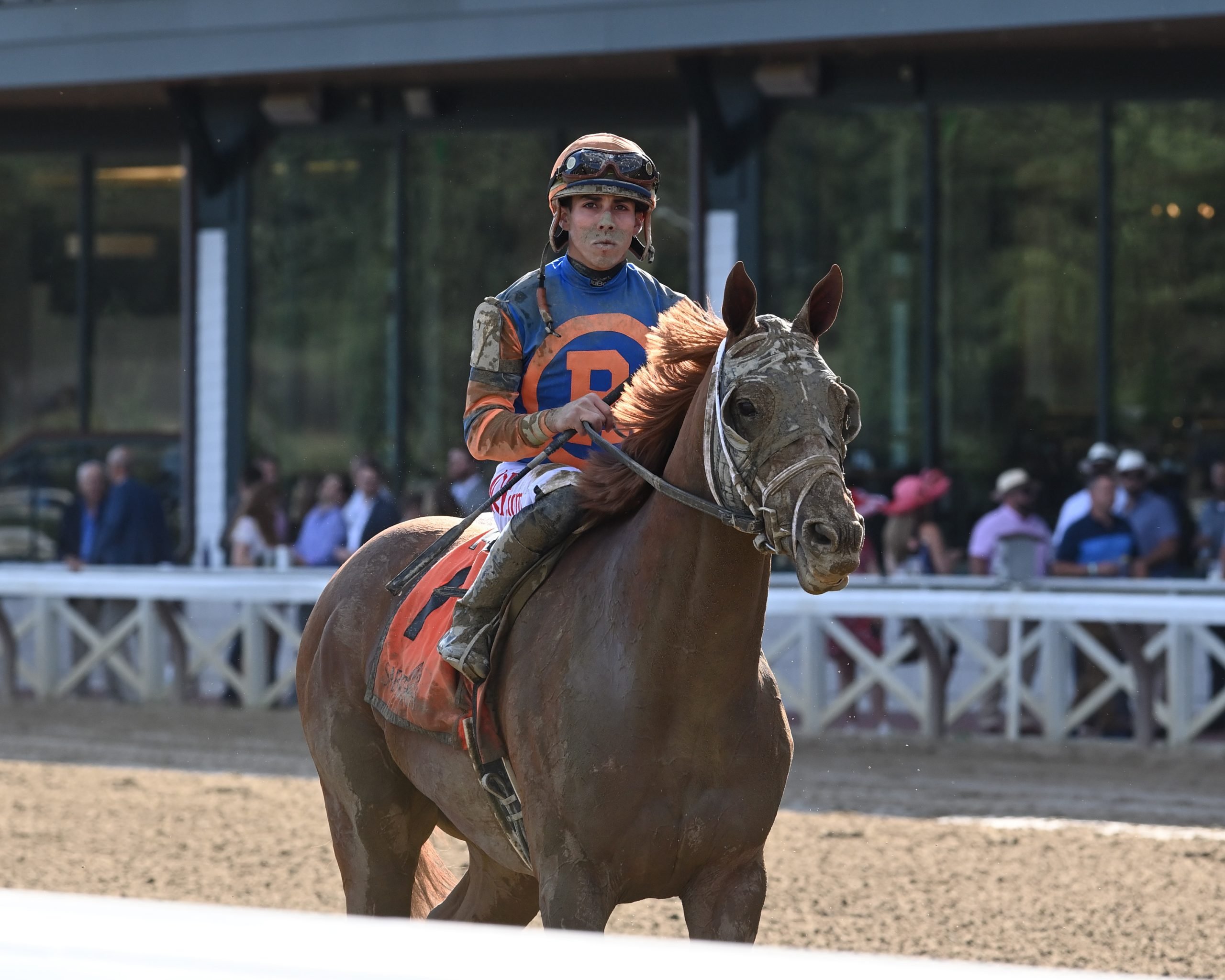 2021 Travers Stakes Entries, Odds and Contenders Dynamic One Horse