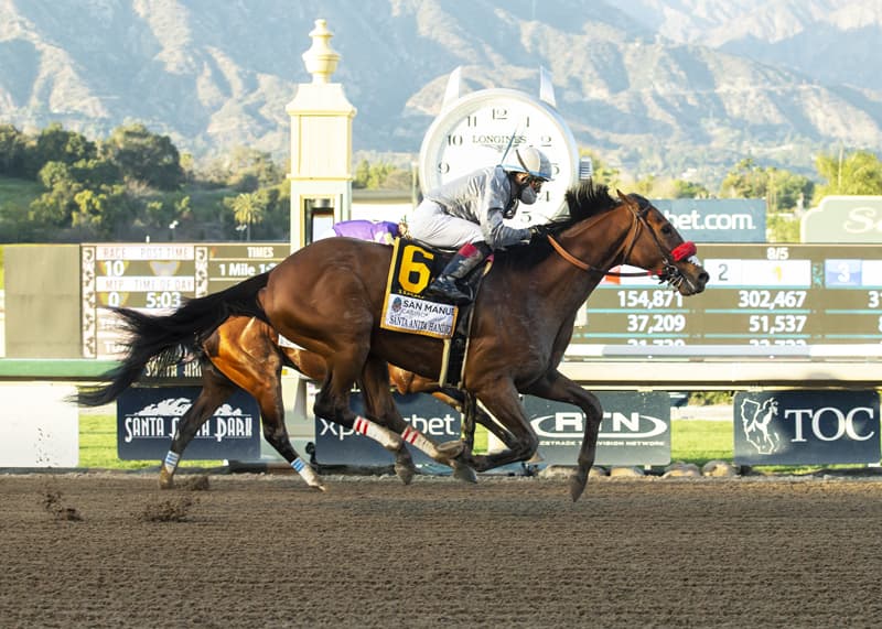 2021 Breeders’ Cup Classic Contenders, Odds and Post Position Idol