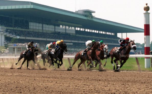 Belmont Stakes Runner Trivia | Horse Racing News