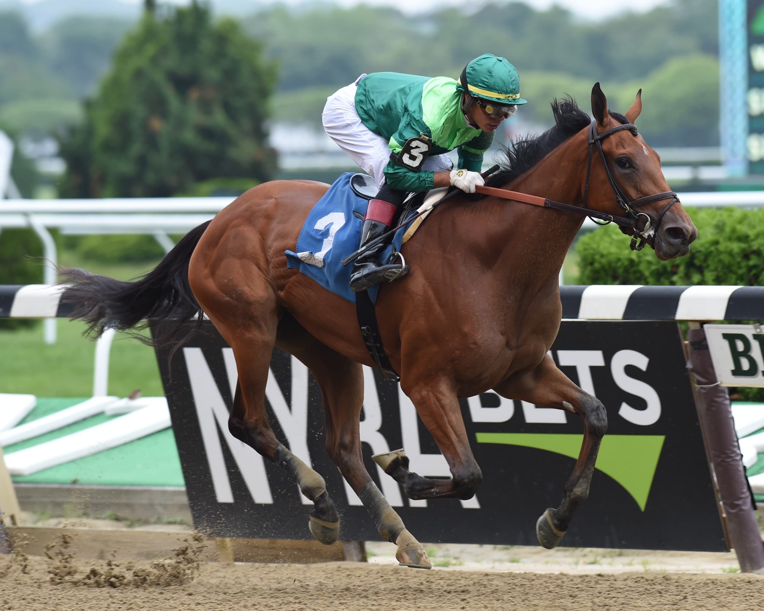 2021 Breeders' Cup Distaff Contenders, Odds and Post Position Dunbar