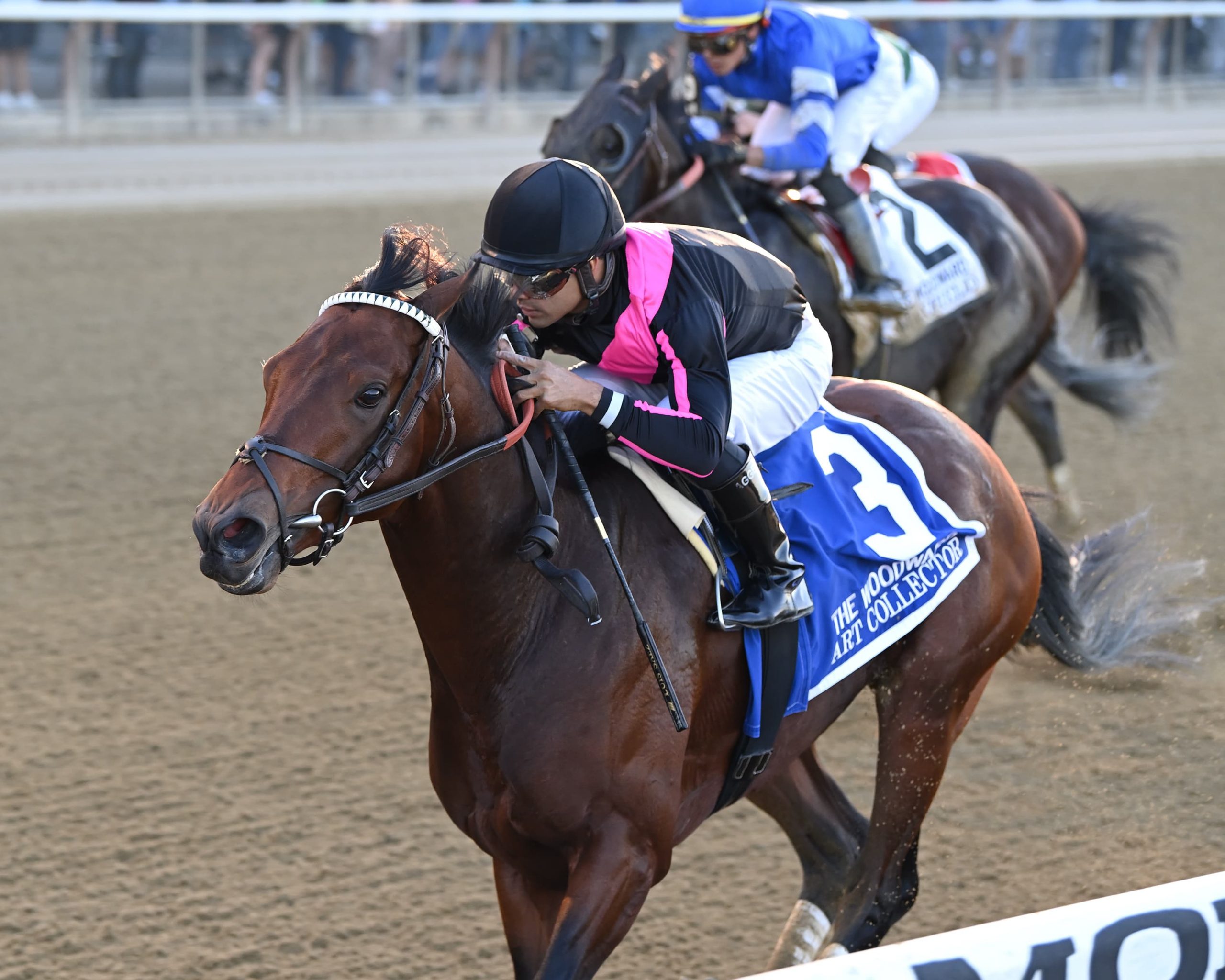Top Five Horses to Watch Out for in the 2023 Belmont Stakes Horse