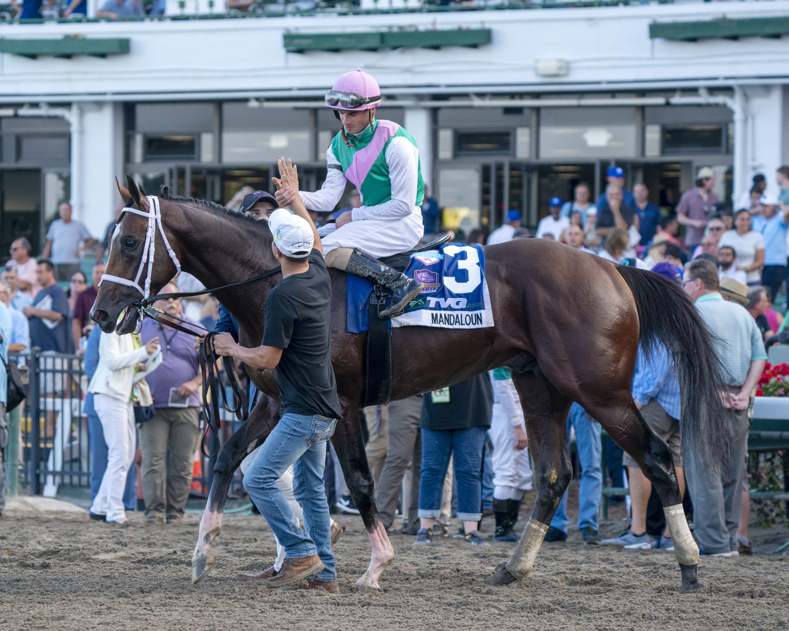 Race for 3-Year-Old Title Could Go Down to the Wire - BloodHorse