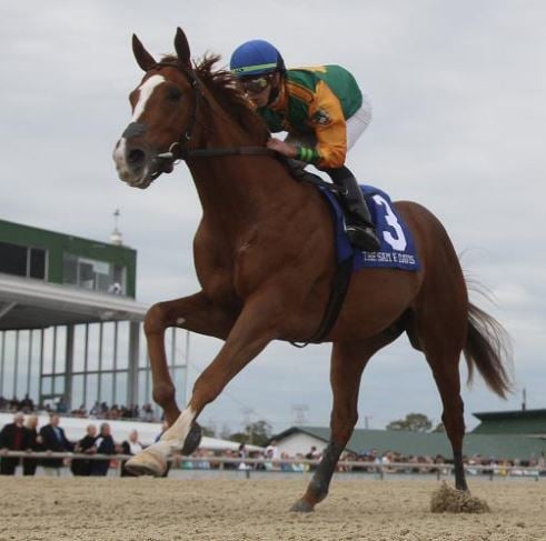 3 horses in Kentucky Derby trained in Palm Beach County