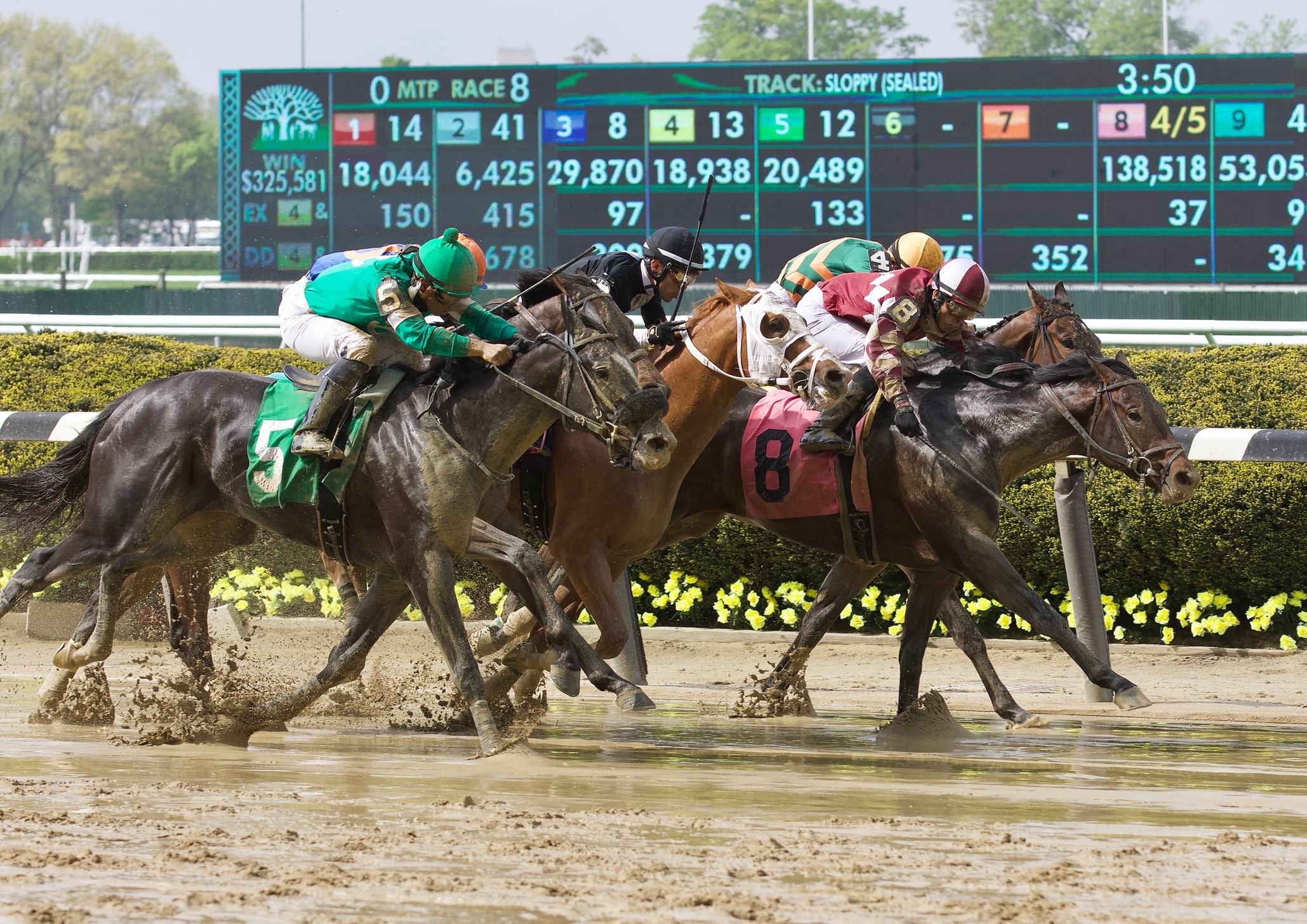 Most Difficult Prep Races Towards the Kentucky Derby Horse Racing News