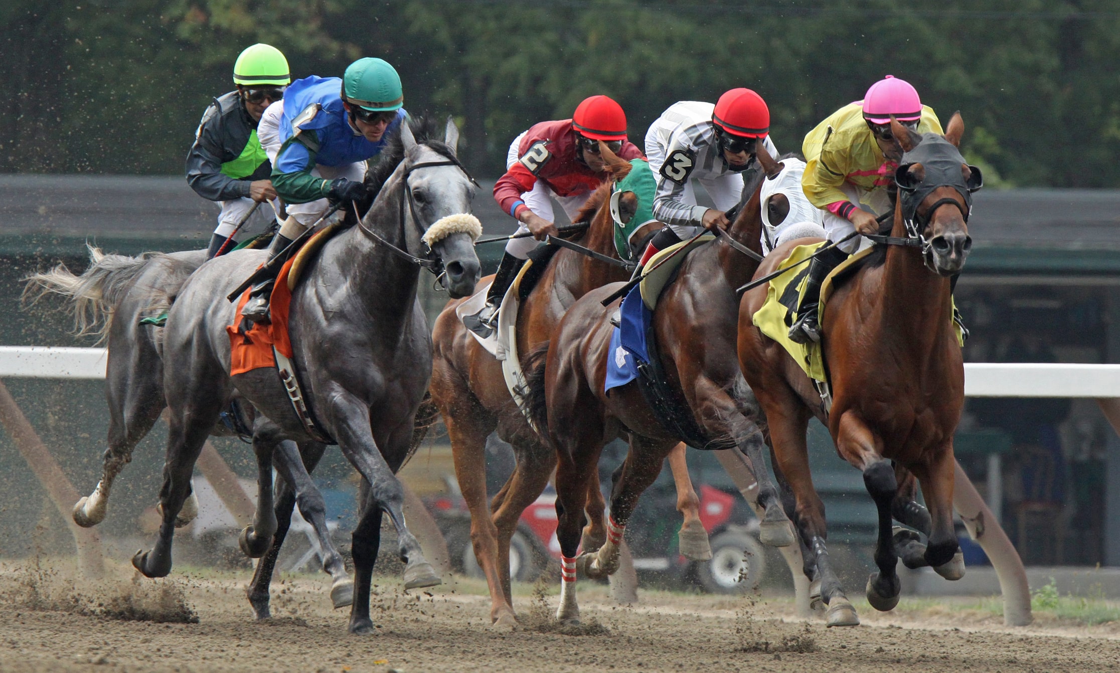 2023 Belmont Stakes Picks, Contenders, Odds and Post Positions Angel