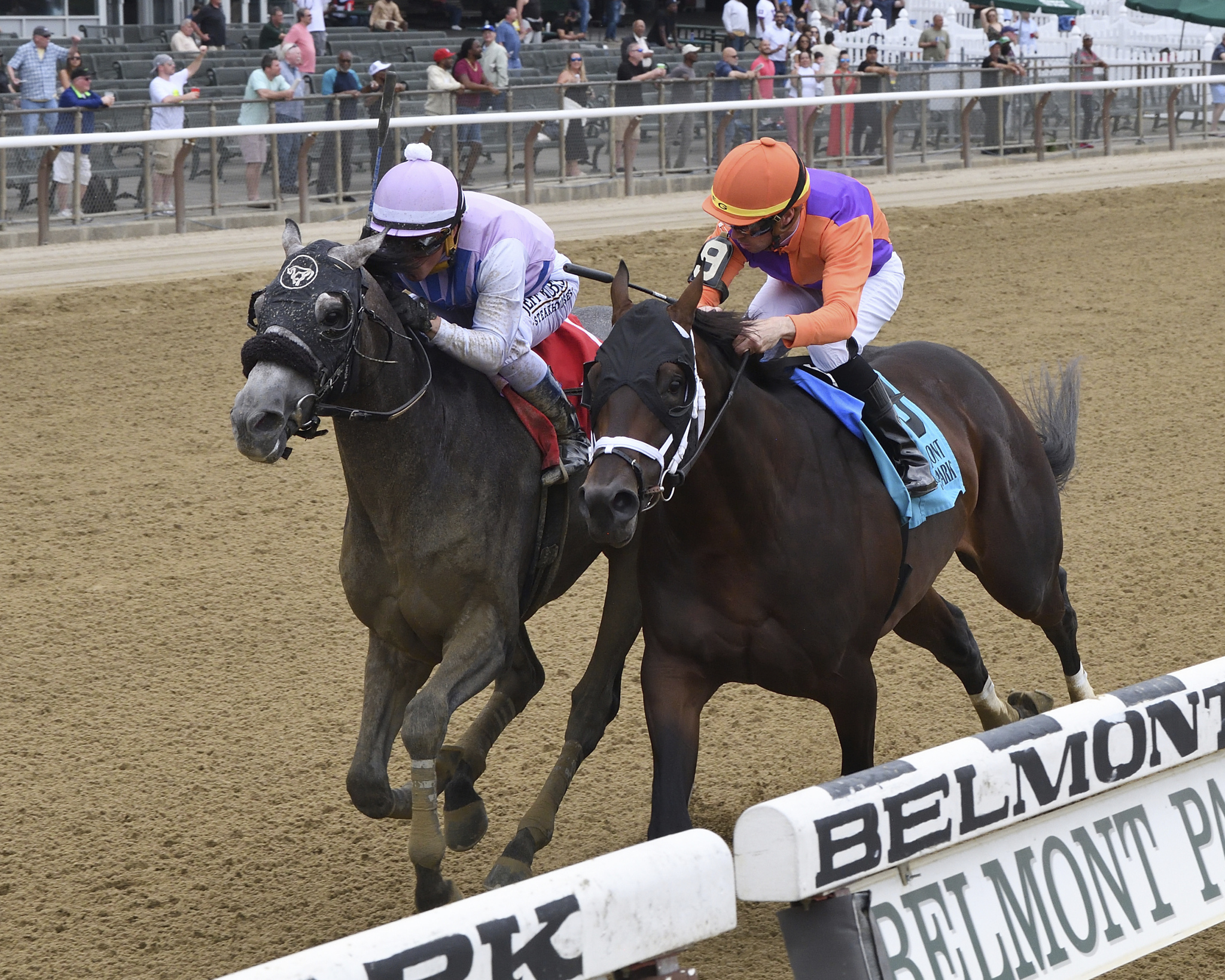 2023 Belmont Stakes Taking Shape | Horse Racing News