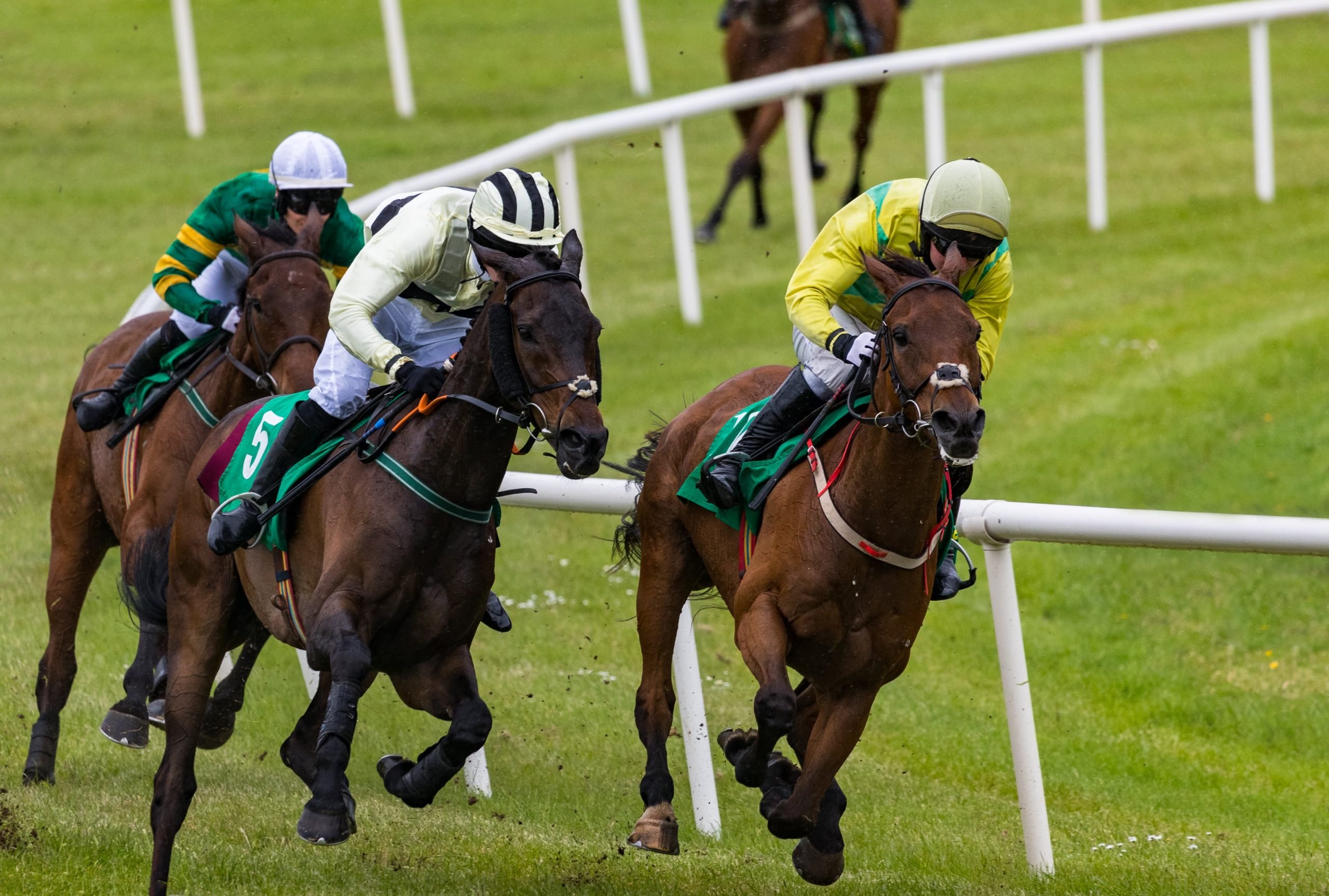 Popular Derby RunnerUp Two Phil’s Retired with Ankle Injury Horse