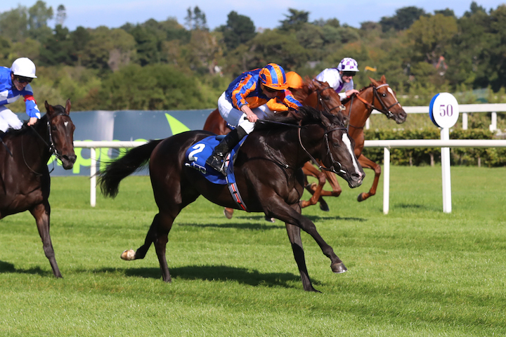 Prince of Wales’s Highlights Royal Ascot Day Two