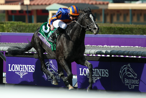 Breeders Cup Turf Races Euro Domination Horse Racing News