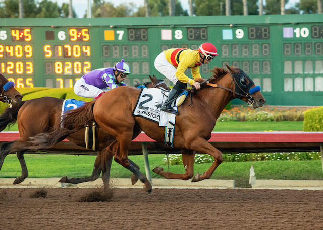 Baffert a Good Bet in Los Alamitos Derby: Odds, Picks