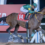 2024 Breeders’ Cup Classic Contender: USHBA TESORO