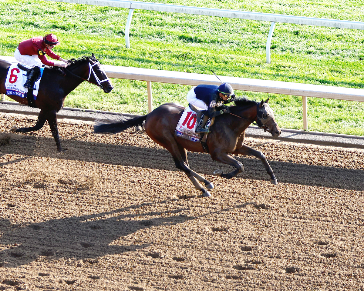 2024 Belmont Stakes Contenders: SIERRA LEONE