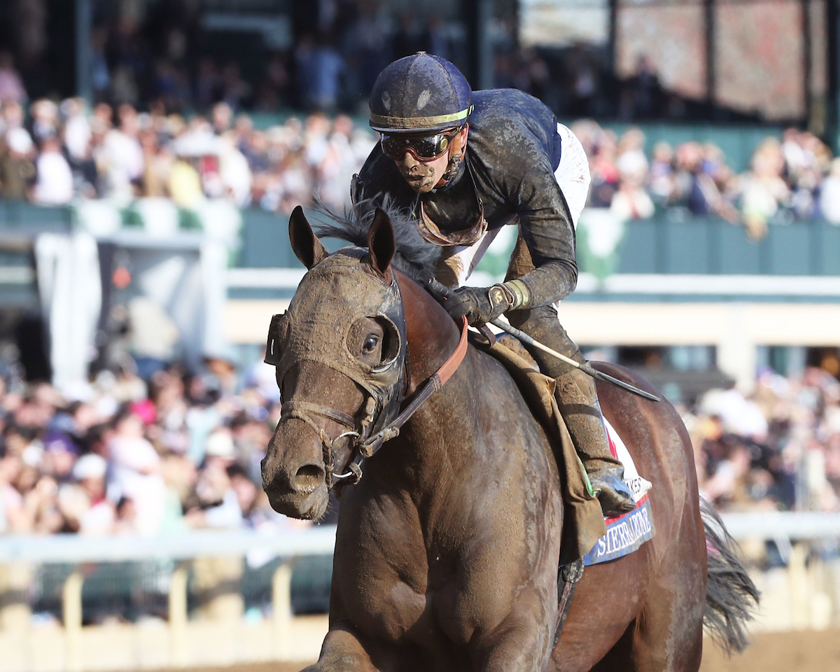 Belmont Stakes Picks: Sierra Leone is the One