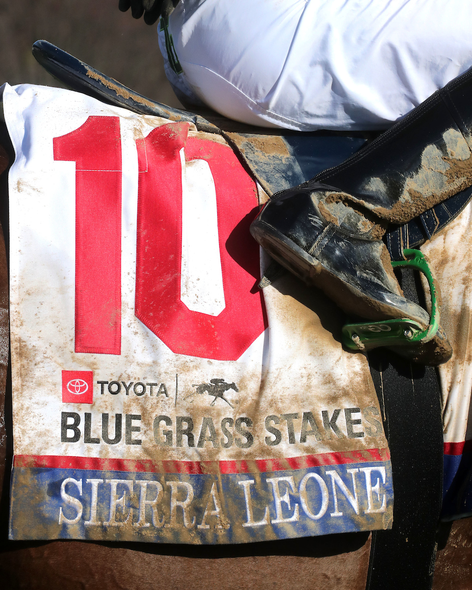 Belmont Stakes: Derby Runner-Up Sierra Leone Could be Favorite