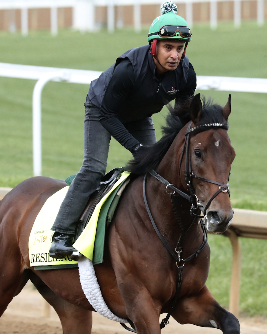 2024 Belmont Stakes Contenders: RESILIENCE