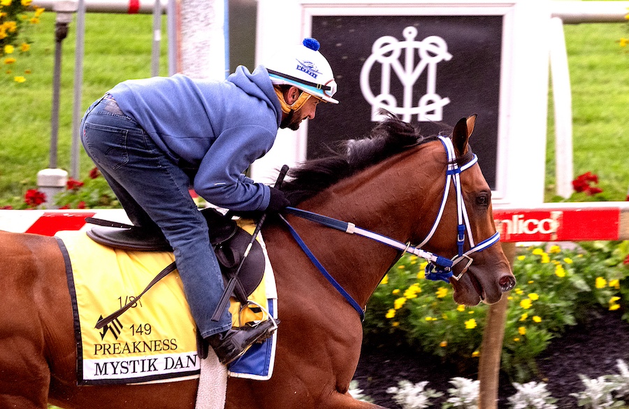 2024 Belmont Stakes Contenders: MYSTIC DAN